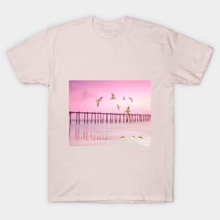 Sandpiper Birds at Sunset T-Shirt